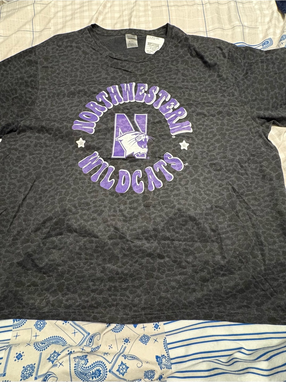 Northwestern Wildcats Women’s Short Sleeve Tee - Gray with Purple Logo